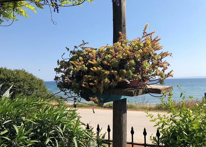 District 01 Beachfront 度假居