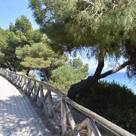 Feriehus District 01 Beachfront *