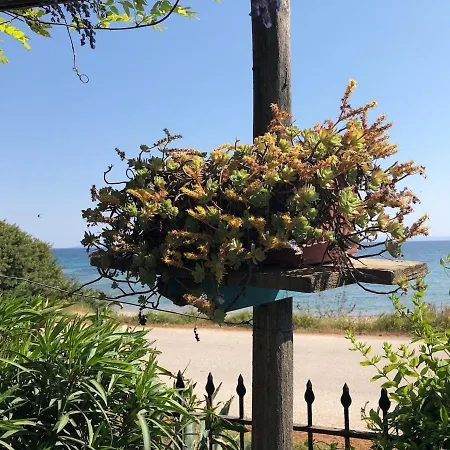 District 01 Beachfront Feriehus